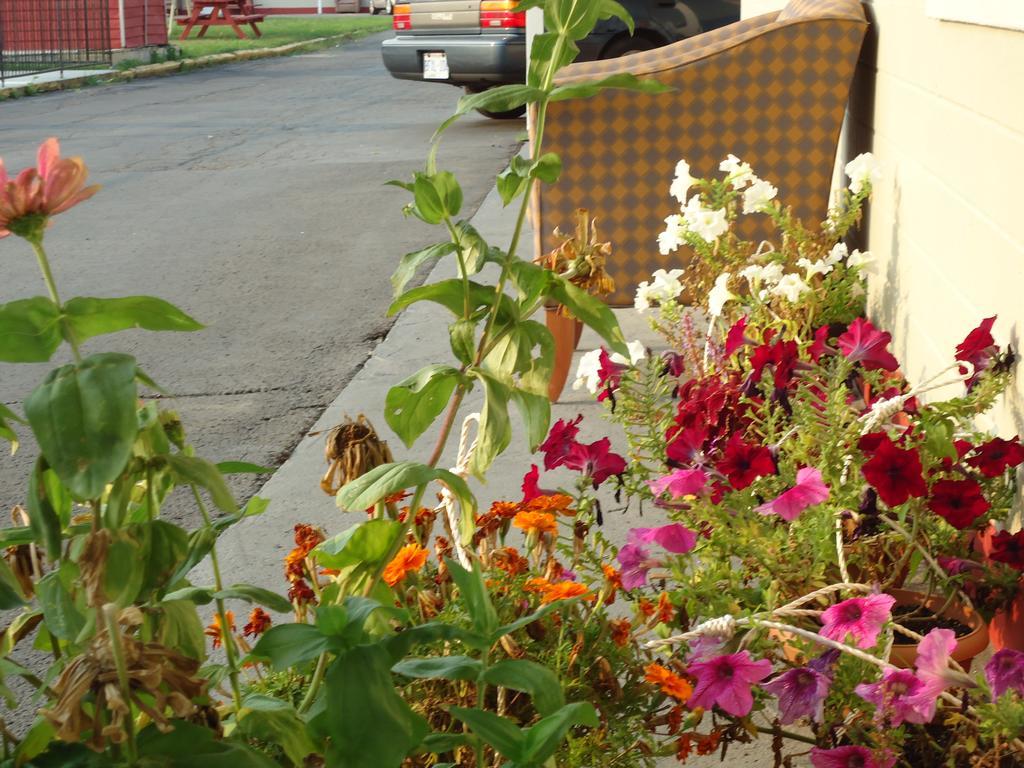 Star Inn By Elevate Rooms Niagara-Fälle Exterior foto